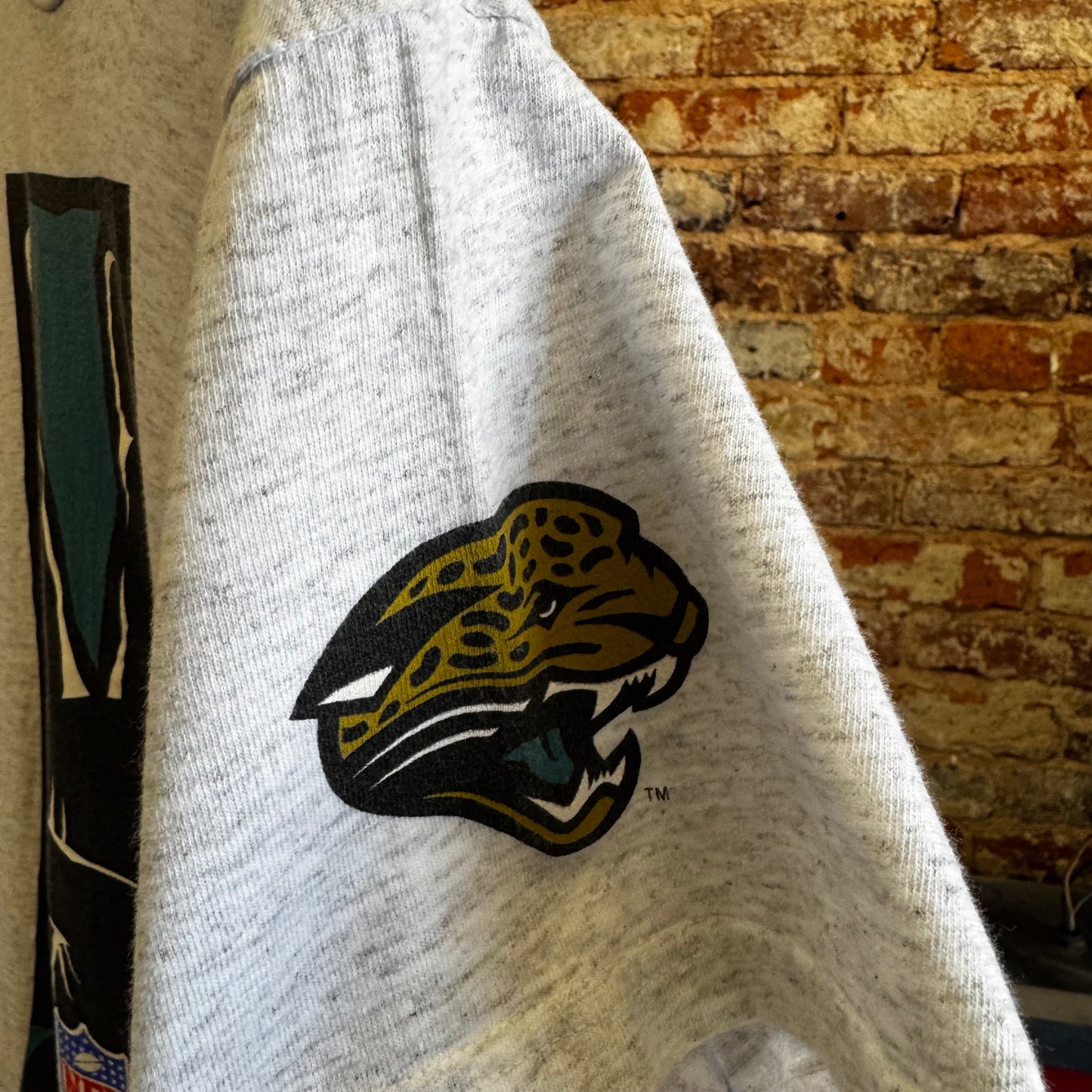 1995 Jacksonville Jaguars “Chill” T-Shirt Size Medium