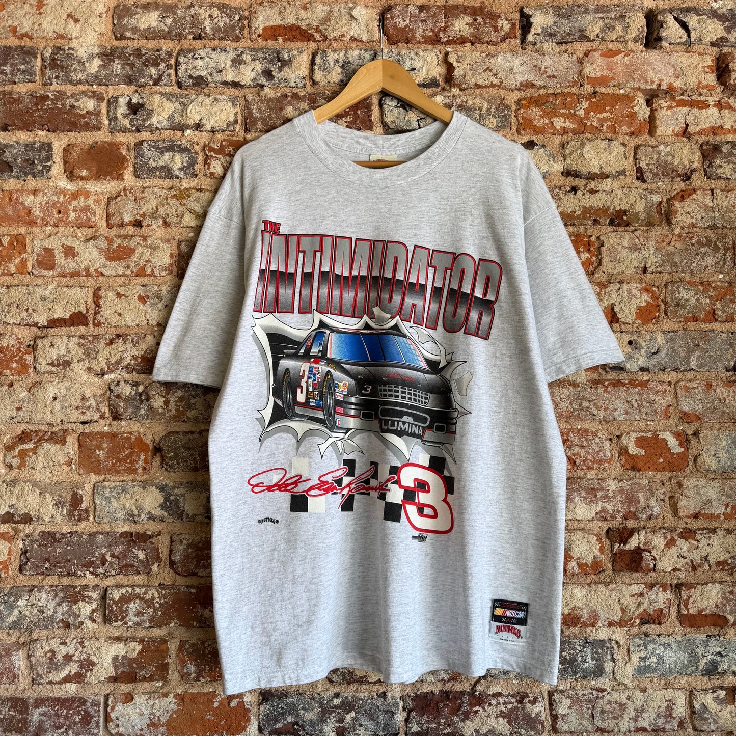 90s Nutmeg Dale Earnhardt “The Intimidator” T-Shirt XL