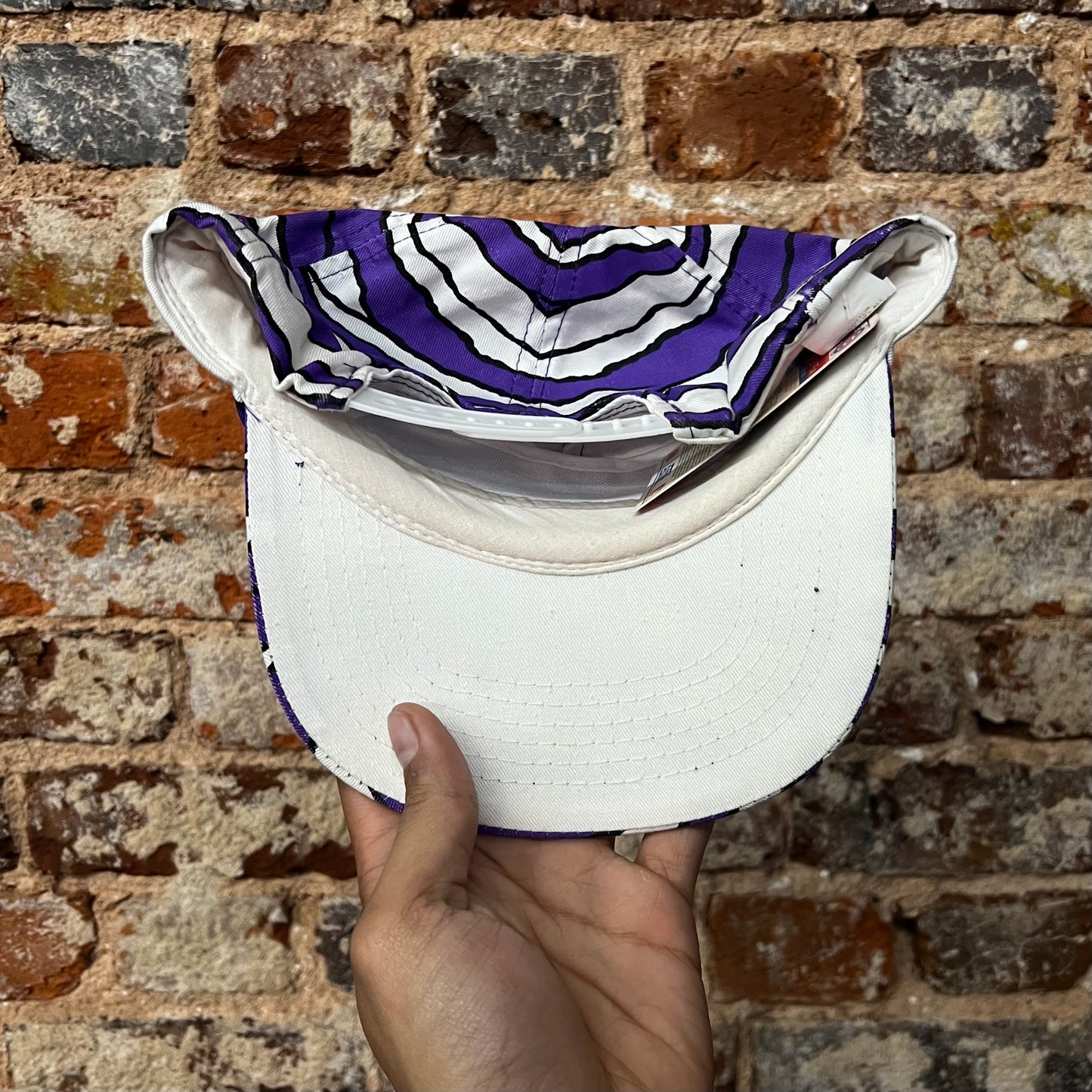 90’s Furman Paladins Script Zubaz Style SnapBack