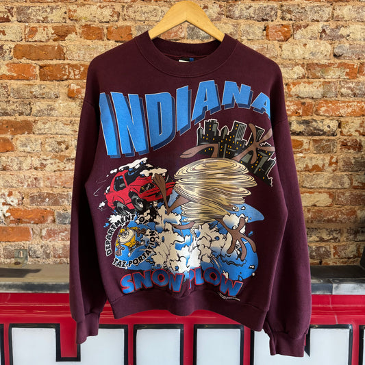 1995 Looney Tunes “Department of Tax-Portation” Crewneck M