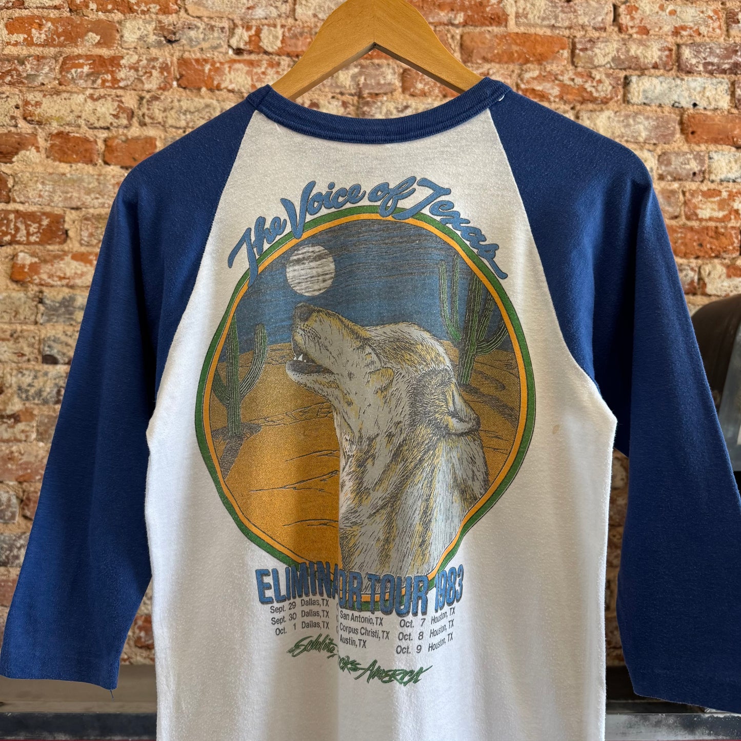 1983 ZZ Top “Eliminator Tour” Raglan T-Shirt M