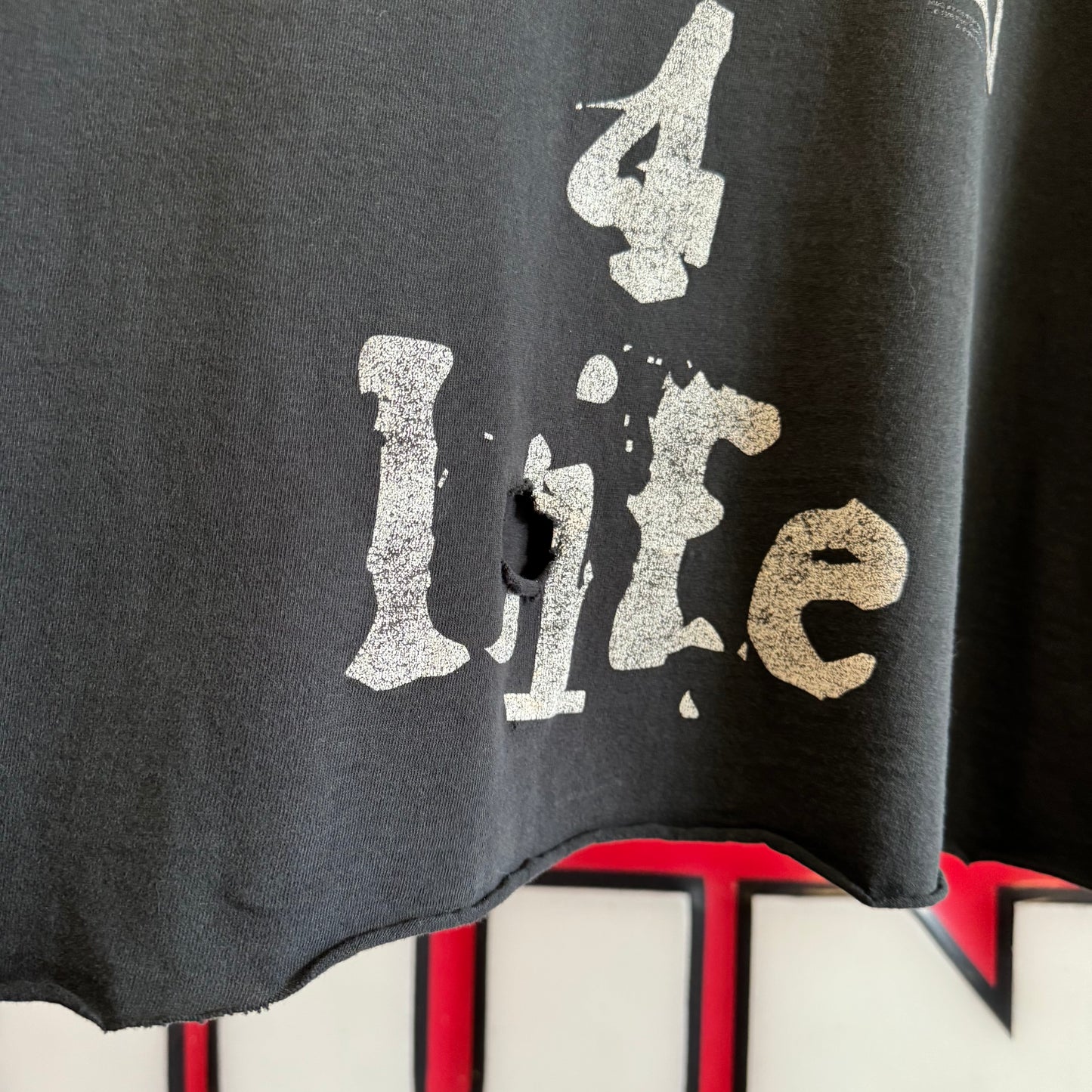 90s NWO “New World Order 4 Life” T-Shirt XL Chopped